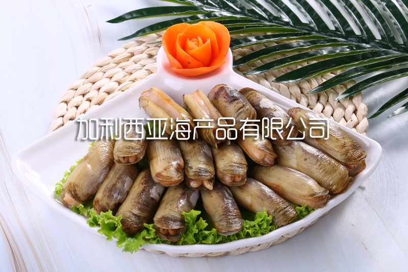 螠蛏（小人仙）