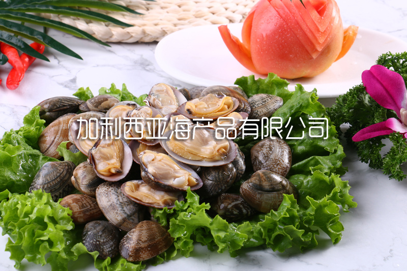 Frozen boiled vacuum clam