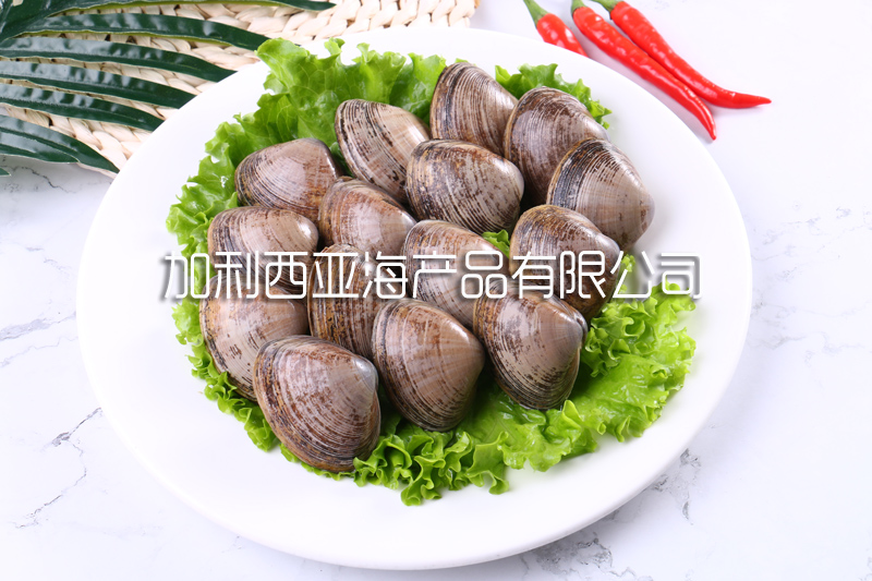 青柳蛤（黄蚬子）